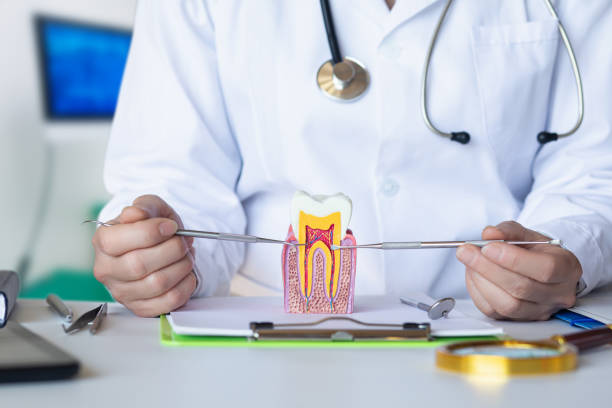 Best Broken Tooth Emergency  in Pinewood, FL